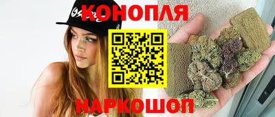 гидропоника Пушкино
