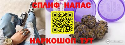 гидропоника Пушкино