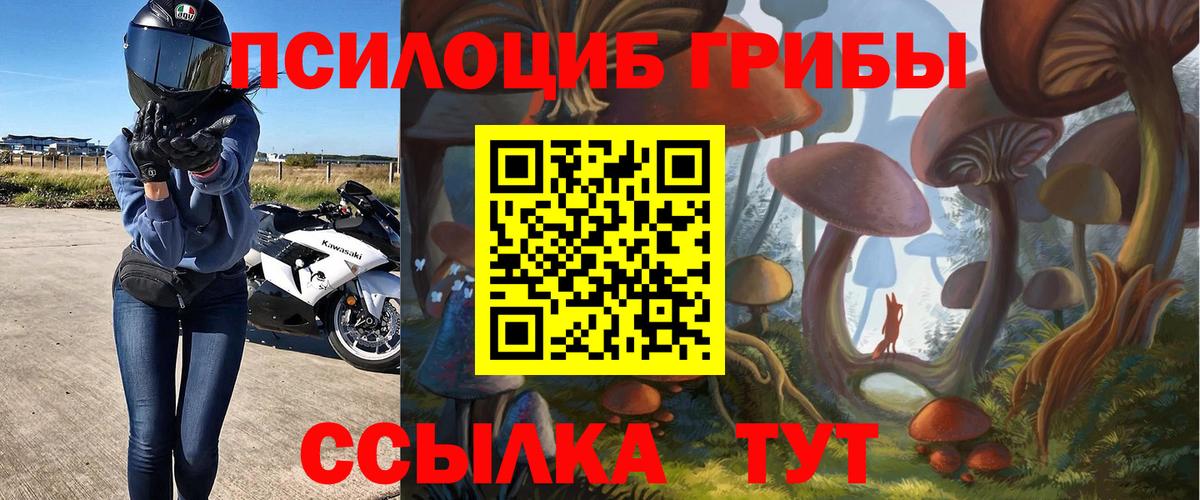 Галлюциногенные грибы прущие грибы  Вход с VPN  Сокол  Галлюциногенные грибы мухоморы 